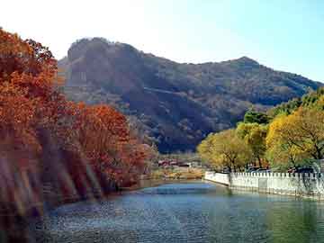 新澳天天开奖资料大全旅游团，张柏芝出场费